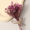 Flores Artificiais, Materiais DIY para Buquê de Flores Eternas, Gipsofila, Miosótis, Flores Secas para Dedos, Atacado Transfronteiriço, Flores Artesanais, Flores Artificiais