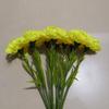 Novo buquê de flores artificiais lilás com cravo único para decoração de casa, vaso de flores de seda para feriados, arranjo de flores