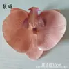 Cabeça de Orquídea Phalaenopsis Filme Impresso em 3D Flor Artificial Grande Acessórios de Flor Para Penteado Grampo de Cabelo DIY Feito à Mão Casamento