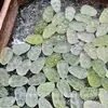 Acessórios Pequenos de Folha Esculpida em Jade Xiu, Peças Esculpidas em Jade Natural, Joias com Contas para Pulseira no Atacado