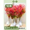 Dropshipping Nandina Plantones en Macetas Flame Nandina Bonsái de Interior de Pila Vieja Follaje de Patio Flores y Plantas Verdes