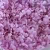 Hortensia Anna Flor Eterna Tallo Completo Flor Seca Hortensia de Hoja Pequeña Ramo de Flores Decoraciones Navideñas