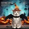 El juego de decoración de Halloween para mascotas más vendido de Ali incluye varios sombreros de bruja, capas y accesorios, disfraces completos para gatos y perros al por mayor