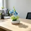 2 orquídeas phalaenopsis artificiais em um pequeno vaso raso, pedras falsas, bonsai de flor artificial, decoração de vaso de planta verde artificial para mesa