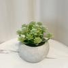 Decoración interior del hogar simulación suculenta pequeña planta en maceta diseño de escritorio planta adornos en maceta suculenta falsa planta verde mayoreo