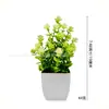 Arranjo de Planta Verde Simulada de Eucalipto e Camélia em Vaso Decoração de Mesa Flores Artificiais Vaso de Plástico