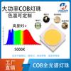 6-60W espectro completo COB lámpara perla planta luz de relleno fotografía luz de relleno simulación luz solar alta potencia cobLED perla de lámpara