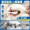 Herramienta para cepillar dientes de gato y perro, ayuda para el cuidado bucal de mascotas, abrebocas para cepillado no cooperativo, herramienta de soporte bucal para limpieza de dientes