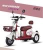 Nuevo triciclo eléctrico pequeño de ocio para personas mayores, scooter para recoger niños, desplazamiento diario, triciclo eléctrico para adultos