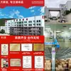 Yunnan Tricholoma Fragrans Sabor Fresco Rey Condimento Casero para Cocinar y Sopa para Añadir Sabor y Frescura en Lugar de Esencia de Pollo y Glutamato Monosódico Venta al por Mayor Comercial
