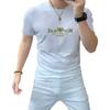 2024 Verão novo masculino gola redonda manga curta camiseta masculina meia manga camisa algodão mercerizado Seda de Gelo respirável na moda dos homens bonitos