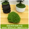 Paisajismo con musgo artificial, musgo falso, césped sedoso, plantas verdes, plantas de micro paisajismo, musgo de terciopelo artificial decorativo