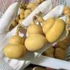 [Barato] Natural Wenwan Cabacinho Levemente Defeituoso Couro Roxo Cabacinho Gordo Envolto no Dedo Macio Pequeno Cabacinho Peça de Mão Venda por Atacado
