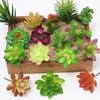 Planta Suculenta Mini Atacado Cabeça de Flor Artificial Pequenos Acessórios para Arranjo de Flores Suculenta Falsa Flor de Plástico Planta Decorativa Planta em Vaso