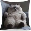Funda de Almohada Decorativa para Sala de Estar con Estampado de Animales Lindos Transfronteriza Funda de Cojín para Sofá Sin Relleno de Almohada Funda de Almohada para Cabecera Venta al por Mayor