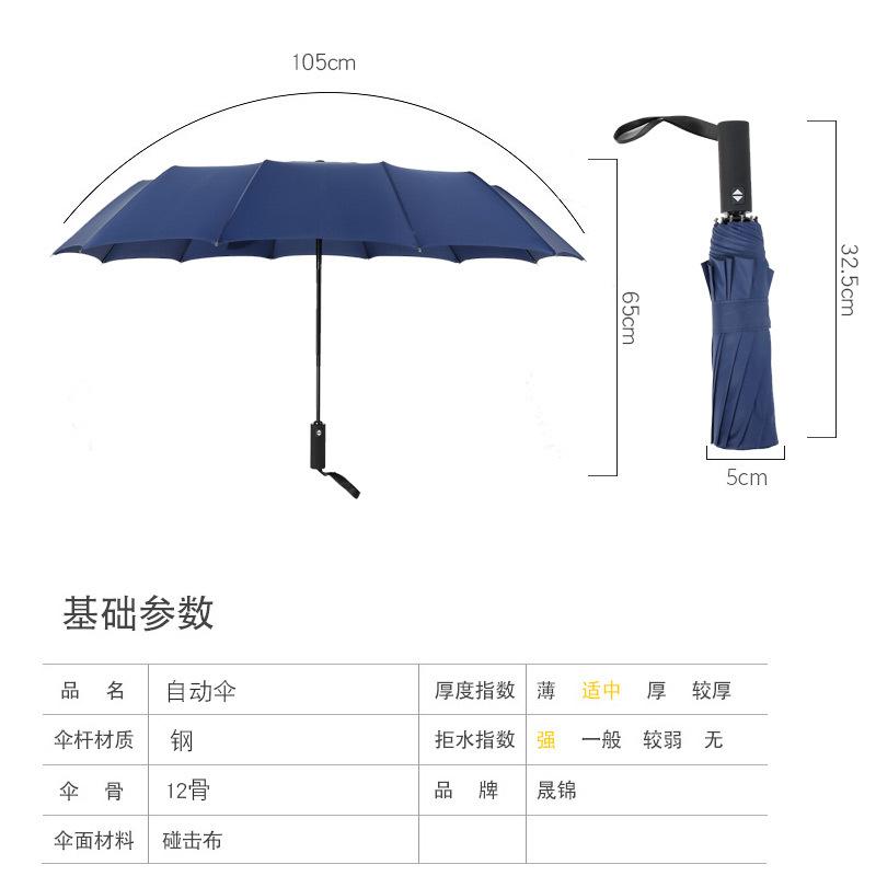12骨自动伞4