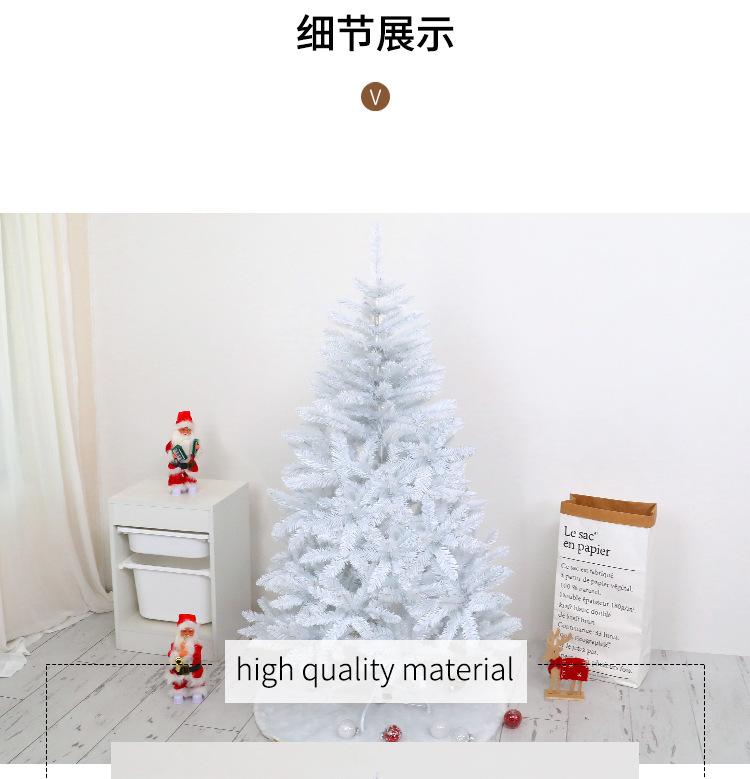 白色裸树_09.jpg?x-oss-process=image/format,png