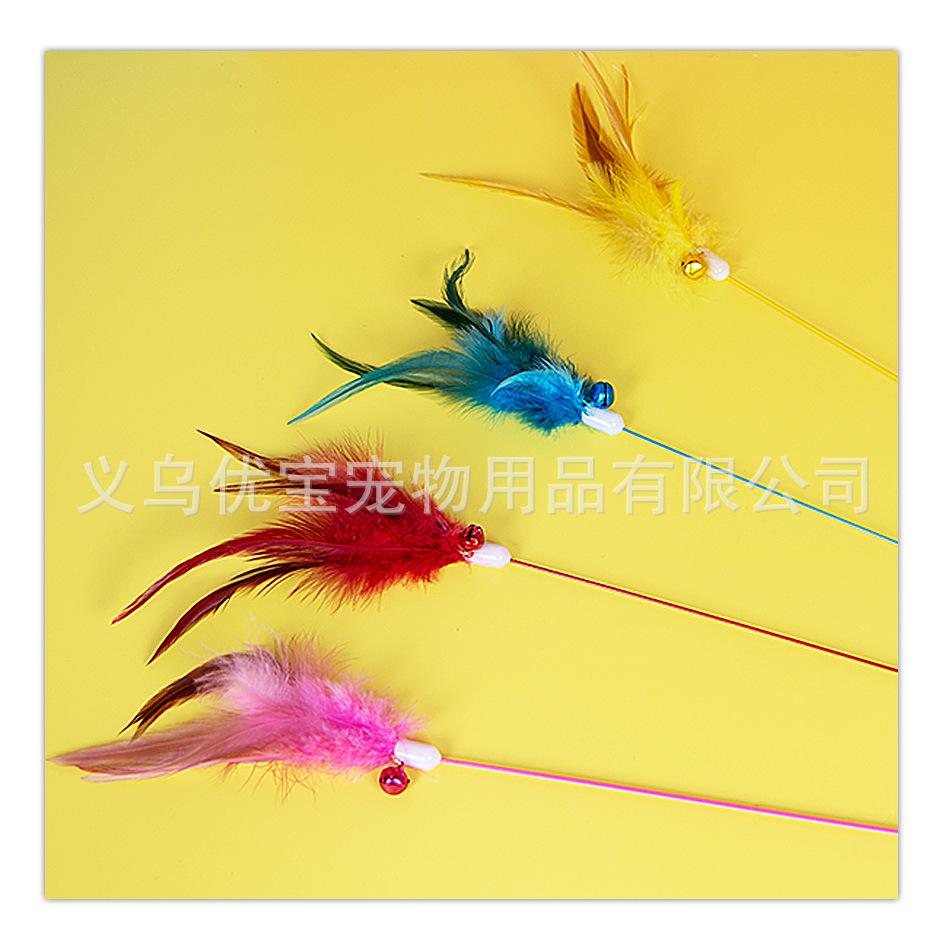 彩竿单羽详情_11