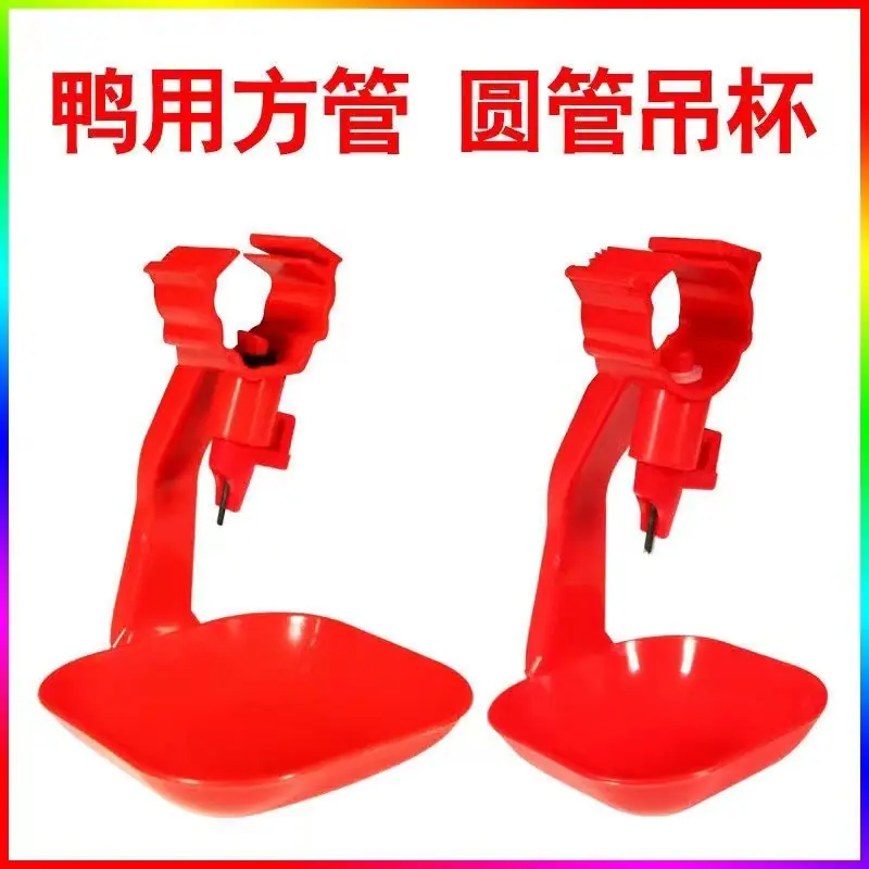 详情 (7).jpg