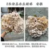 Flores de Hortensia Artificiales de 5 Cabezas Color Otoño Vintage, Decoración para Bodas y Hogar, Flores Falsas al por Mayor