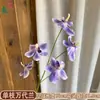 Venta al por mayor transfronteriza de orquídeas Bandai: Orquídeas artificiales Bandai de alta calidad, perfectas para decoraciones de bodas, arreglos de hibiscos y ramos de novia