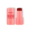 Conjunto de Blush em Gel Transfronteiriço Natural Fácil de Colorir Elástico 4 Cores Conjunto de Blush Matte Hidratante Caixa