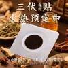Parche de Cuidado de la Salud para Puntos de Acupuntura Sanfu para Adultos y Niños, Parche de Yeso Herbal Universal, Fabricante de Parches de Puntos de Acupuntura OEM, Fabricación por Contrato