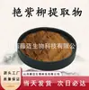 Extracto de Sauce Púrpura 10:1 Extracto de Planta Materia Prima Grado Alimenticio Polvo Liofilizado de Sauce Púrpura Polvo Soluble en Agua Envío Gratis