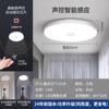Lámpara de Techo para Escaleras, Pasillos, Vestíbulos, Balcones, Luz Radar con Sensor Automático Infrarrojo de Cuerpo Humano, LED Especial
