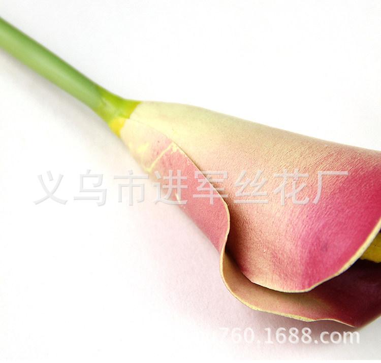 xiao 1