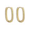 Aretes Niche Avanzados Geométricos Semicirculares con Hebilla para la Oreja Explosivos Simples Estilo Metal Lujo Ligero Diseño Versátil