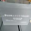 Bateria Sem Manutenção Elétrica Zhongda Dcf126-12/100 Painel Dc Eps 12V100Ah Garantia de 3 Anos