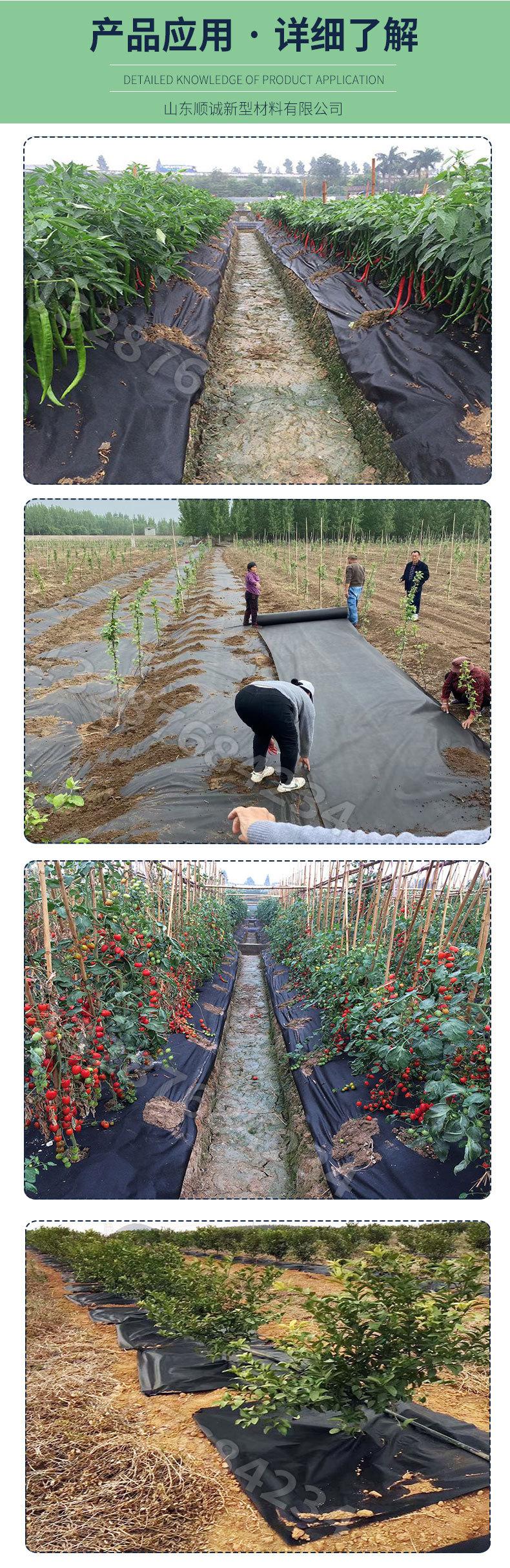防草无纺布_05