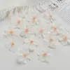 Pétalas de flores de begônia artificiais decoração de árvore falsa material DIY tecido de seda árvore de flor de cerejeira adereços para sessão de casamento acessórios para cocar