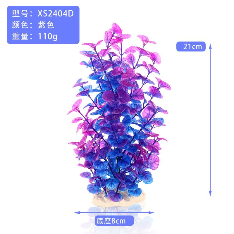 XS2404D