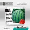 Fabricante Original Atacado Sementes de Melancia Açúcar de Pedra Kirin 8424 Mel Melão Pequeno Preguiçoso Rei Sementes de Pele Preta