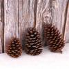 Colgante de Piña de Pino Navideña Dorado Plateado de 3-5 cm Decoraciones Navideñas Arreglo para Árbol de Navidad Colgante de Piña de Pino Paquete de 9
