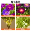 Luces Solares para Suelo de Flor de Loto para Jardín, Luces de Atmósfera de Flores Rojas, Rosas, Amarillas y Moradas, Luces Impermeables para Césped al Aire Libre, Venta Directa del Fabricante