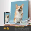Venta Caliente Animal Personalizado DIY Pintura Digital Números Multicolor Múltiples Opciones de Tamaño Comercio Exterior Mayorista Transfronterizo Dropshipping