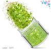 Kit de Unhas Verdes Transfronteiriço 12 Cores Misturadas Lantejoulas para Nail Art Laser Pó Escarlate Joias para Nail Art Broca Adesivo para Unha