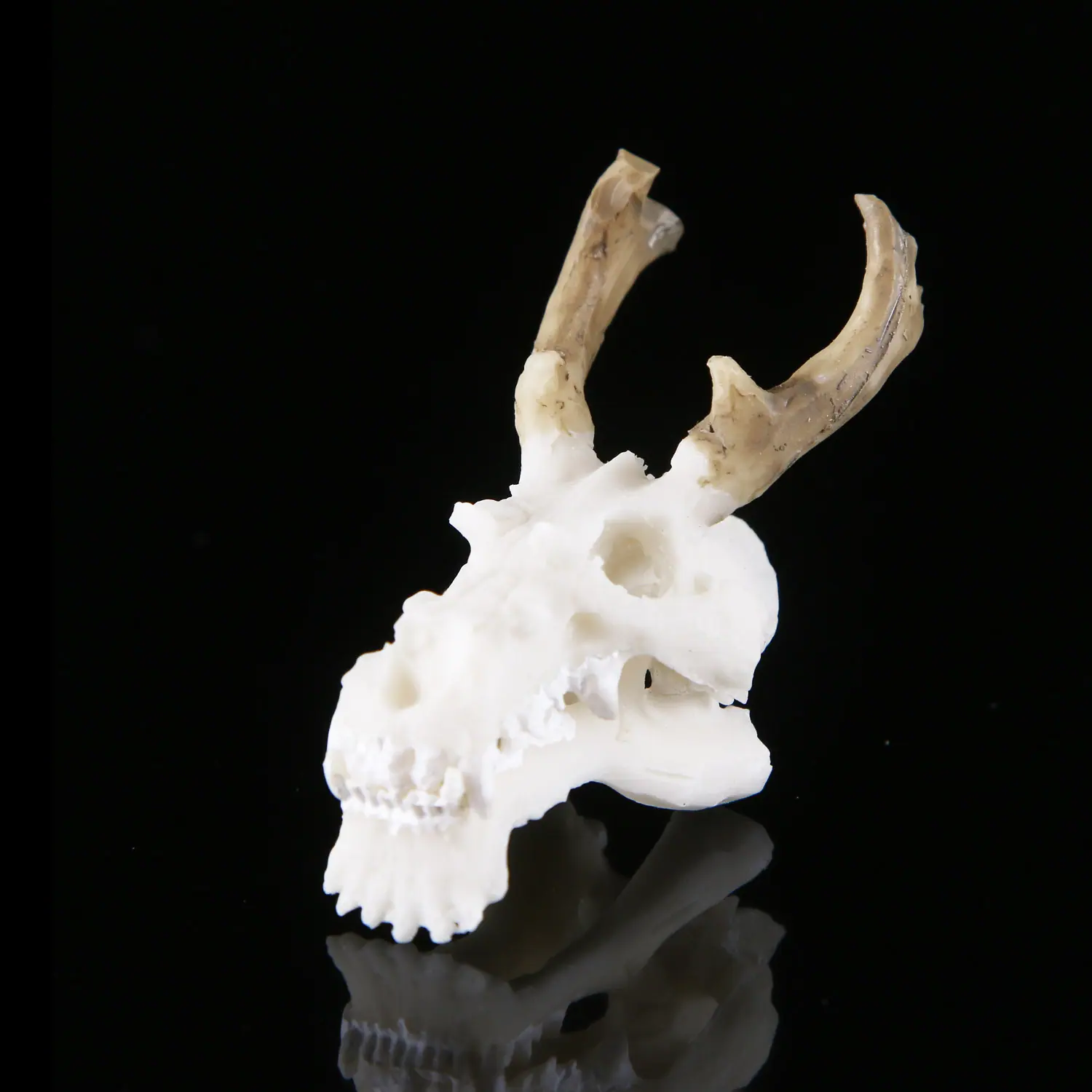 骷髅头-327