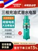 Bomba de agua QY rellena de aceite 160-800 metros cuadrados riego de tierras de cultivo fuente 380V agrícola doméstico industrial sumergible