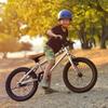 Bicicleta Infantil 16 pulgadas 20 pulgadas Bicicleta de Montaña 6-12 Años Niños y Niñas Cochecito Bicicleta de Pedales para Estudiantes Venta al por Mayor