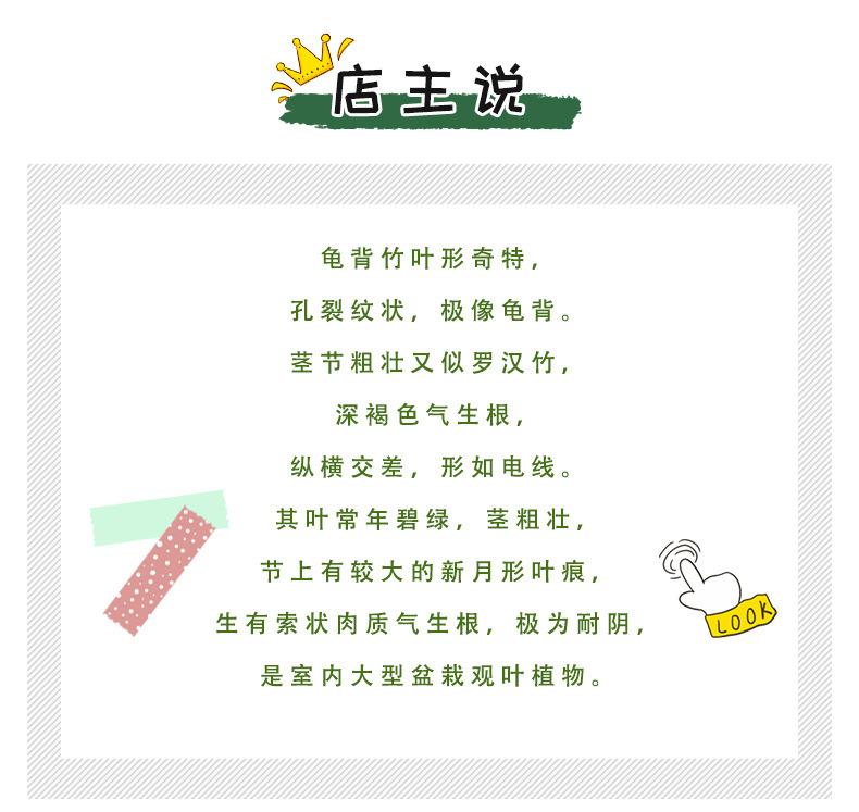 详情页_02.jpg