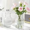 Decoração Simples de Vaso de Vidro para Sala de Estar, Vaso para Flores, Plantas Verdes, Flores Frescas, Bambu da Sorte, Hidroponia Vermelha, Xuzhou Zhuotong
