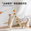 Brinquedos para Gatos, Varinhas Pegadoras para Gatos, Varetas Longas de Madeira Maciça com Guizos, Brinquedos Interativos para Aliviar o Tédio, Brinquedos para Gatos, Brinquedos para Pets