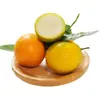 Kumquats Crujientes de Guangxi Deberían Estar en Temporada Fruta Kumquats Pieza Entera Envío Gratis Fruta Fresca Kumquats de Piel Crujiente Una Pieza Dropshipping