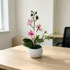 Vaso de onda d'água 3 flores Orquídea Phalaenopsis bonsai, nova planta artificial em vaso com toque realista, flores artificiais para decoração de mesa de sala de estar