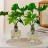 Plantas Hidropônicas, Plantas Verdes em Vasos Chuva de Primavera, Monstera Hidropônica Anjo Pequeno Fácil de Cultivar em Ambientes Internos, Plantas Perenes em Vasos Chuva de Primavera para Todas as Estações