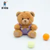Colgante de Muñeco Oso de Peluche Muñeco de Peluche Ropa de Bebé Colorida Llavero Compra Souvenir Juguete con Logo Impreso